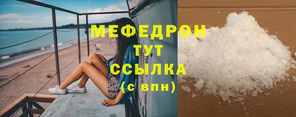 индика Нягань