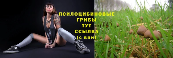 МДМА Няндома