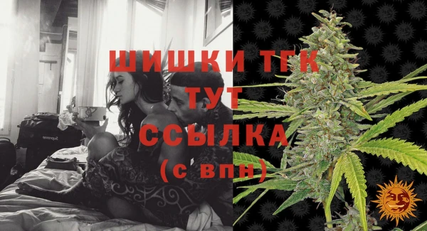 индика Нягань