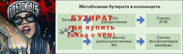 индика Нягань