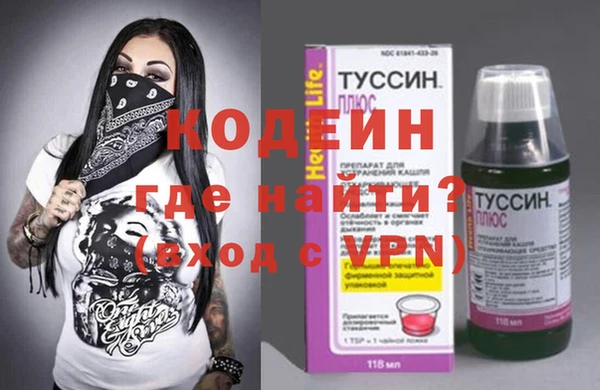индика Нягань