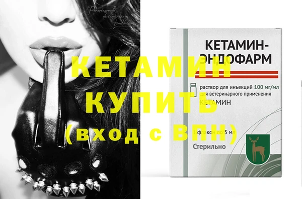 индика Нягань