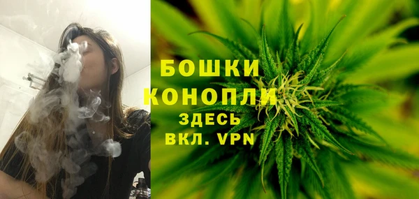 индика Нягань
