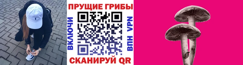 что такое наркотик Королёв Псилоцибиновые грибы MAGIC MUSHROOMS